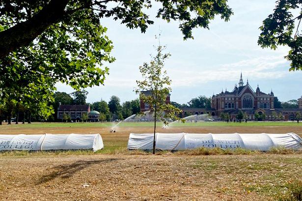 Outrage Erupts as Dulwich Private School Uses Sprinklers on Sports Pitches Despite Hosepipe Ban Exemption