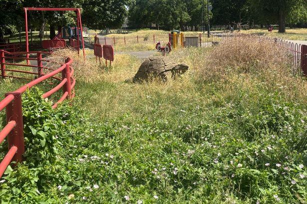 Concerns Grow for North London School Sports Day as Overgrown Field Threatens Event