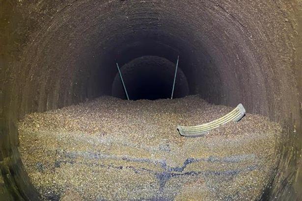 Thames Water Reveals Millions of Invasive Mussels Blocking London's Pipes