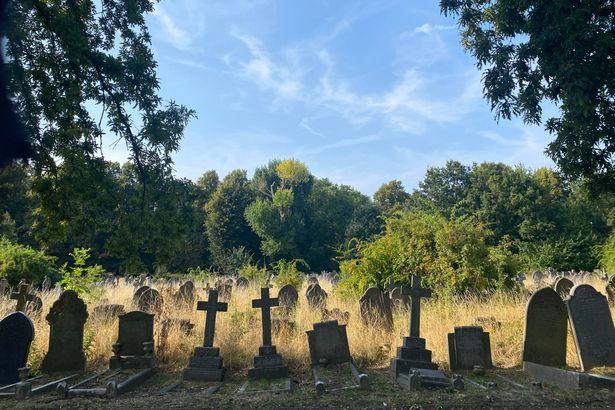 Discover the Charming South London Cemetery Ideal for a Shaded Stroll Near a Highly Rated Pub