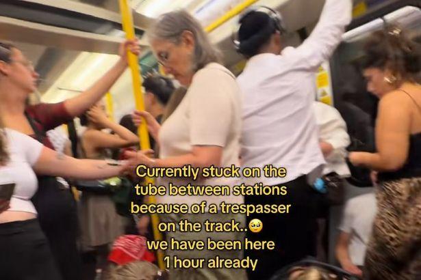 Concertgoers Stranded for 90 Minutes on London Underground Due to Trespasser on Track
