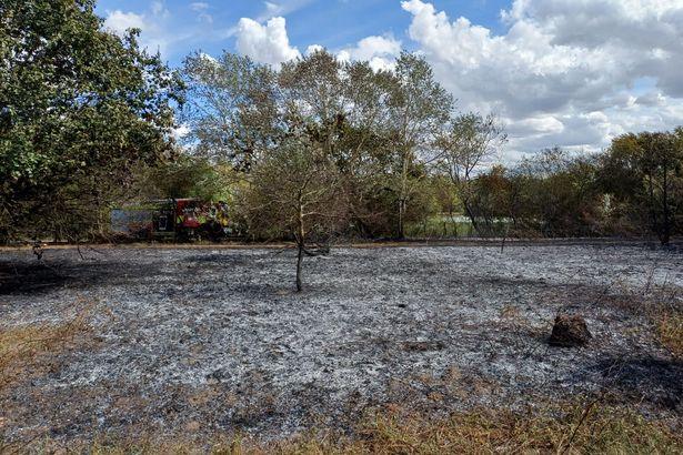 Massive Hornchurch Wildfire Engulfs 6 Hectares of Grassland in Devastating Blaze
