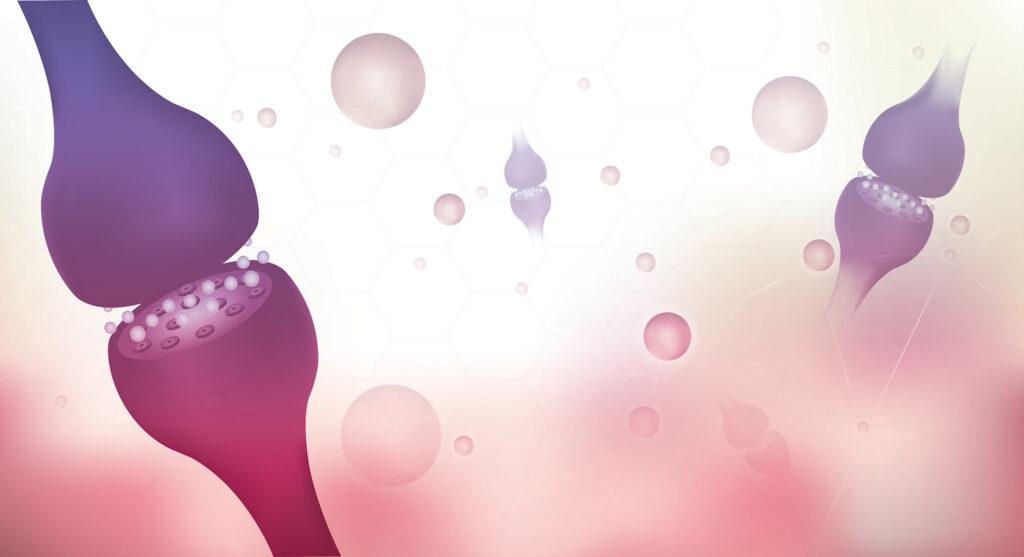 Understanding the Endocannabinoid System: Its Importance and Impact on Health