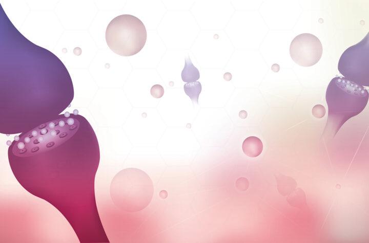 Understanding the Endocannabinoid System: Its Importance and Impact on Health