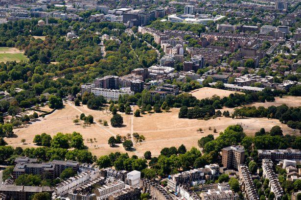 14 Striking Images Capture the Impact of London’s Heatwave on Famous Parks