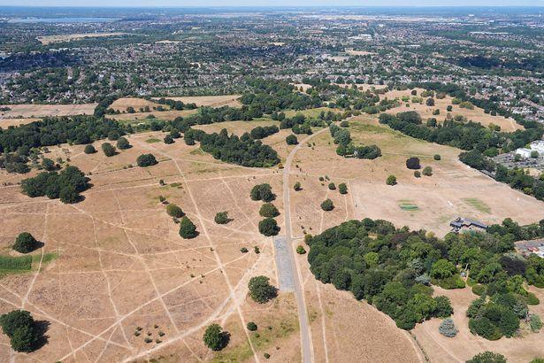 London Faces New Heat Health Alert as Soaring Temperatures Return