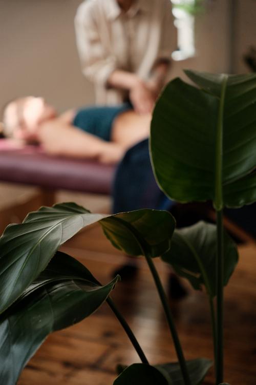 yutoriwellness