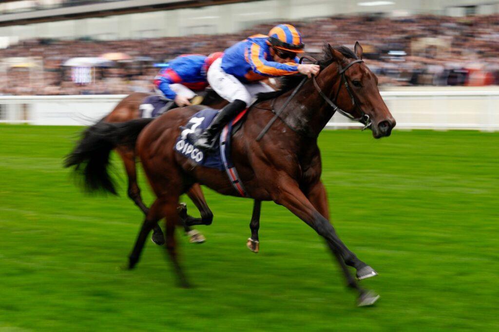 Qatar Racing Secures Sponsorship for Prestigious £4.4 Million British Champions Day