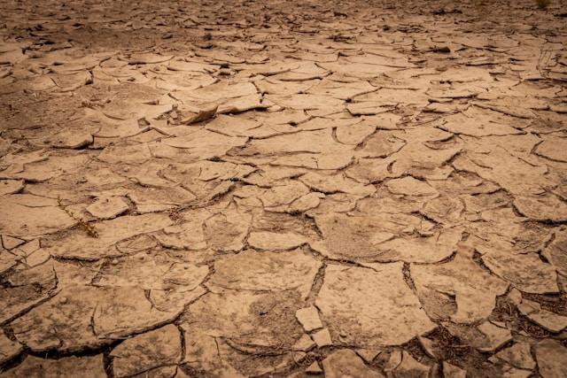 National Drought Group Increases Meeting Frequency Amid Ongoing Drought