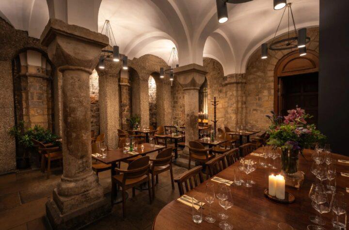 Discover the Unique Origin Story of Humble Grape: A Wine Bar Like No Other