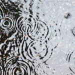 Bright Beginnings Give Way to Heavy Rain and Thunderstorms This Week