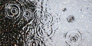 Bright Beginnings Give Way to Heavy Rain and Thunderstorms This Week