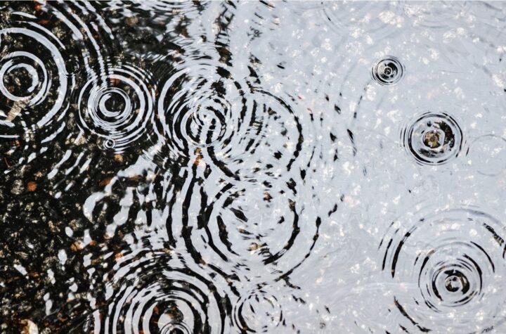Bright Beginnings Give Way to Heavy Rain and Thunderstorms This Week