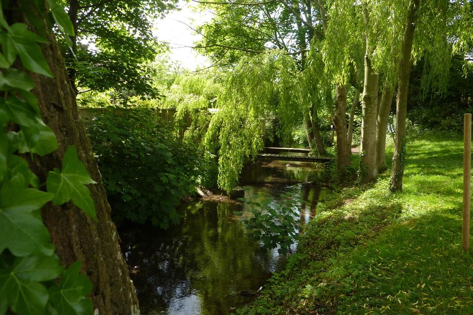 Fresh Insights to Propel Action for Enhancing England's Rivers and Lakes