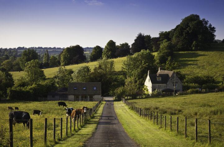 Livestock Farmers Advised to Stay Vigilant and Consider Vaccination Amid Rising Bluetongue Cases