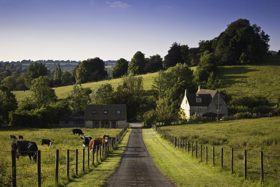 Livestock Farmers Advised to Stay Vigilant and Consider Vaccination Amid Rising Bluetongue Cases