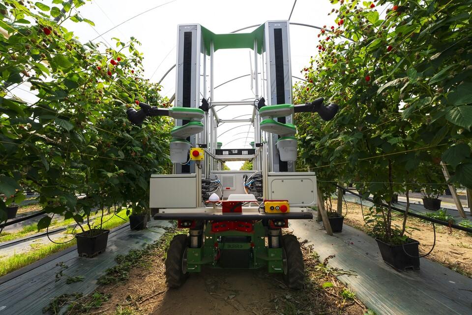 £20 Million Boost for Agricultural Robot Revolution Transforming the Fields