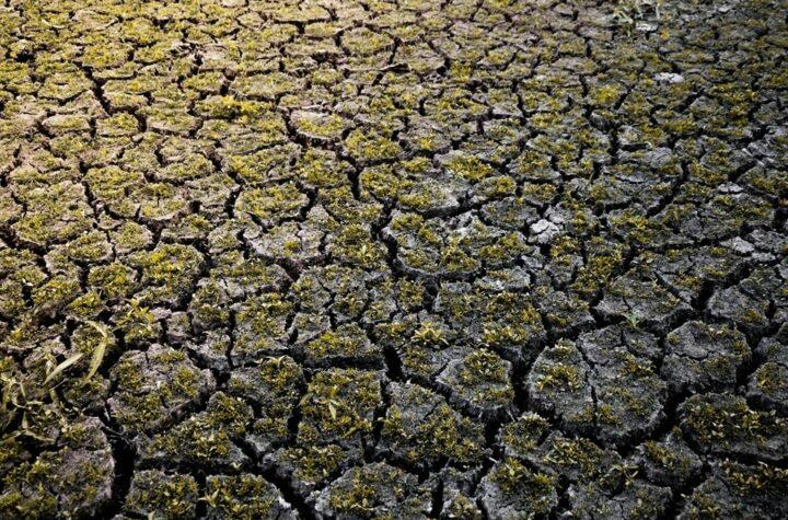 Global Dialogue on Climate Change, Ageing Population, and Health Challenges