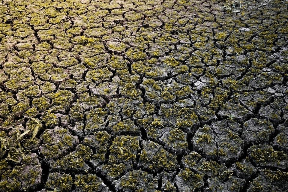 Global Dialogue on Climate Change, Ageing Population, and Health Challenges