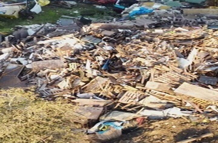 Skip Hire Executive Receives Suspended Sentence for Criminal Activities