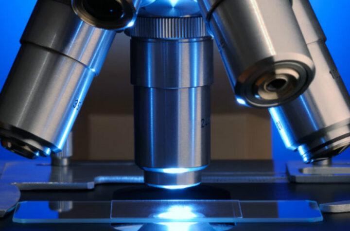 Exciting Career Opportunities: Join Us as a Scientific Expert in Prestigious Roles