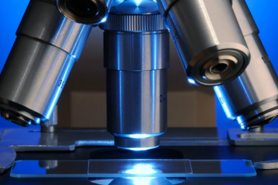 Exciting Career Opportunities: Join Us as a Scientific Expert in Prestigious Roles