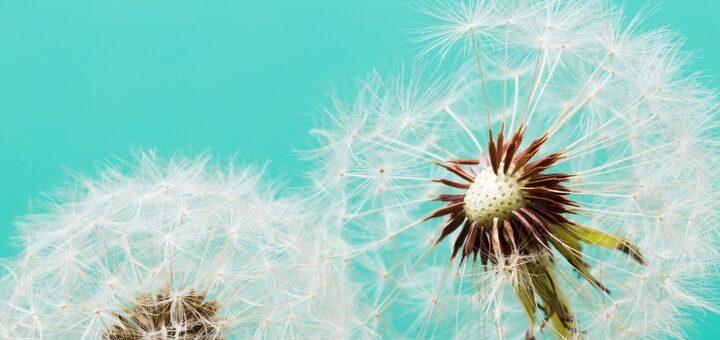 The Link Between Weight Loss and Hair Loss: Causes and Effective Solutions
