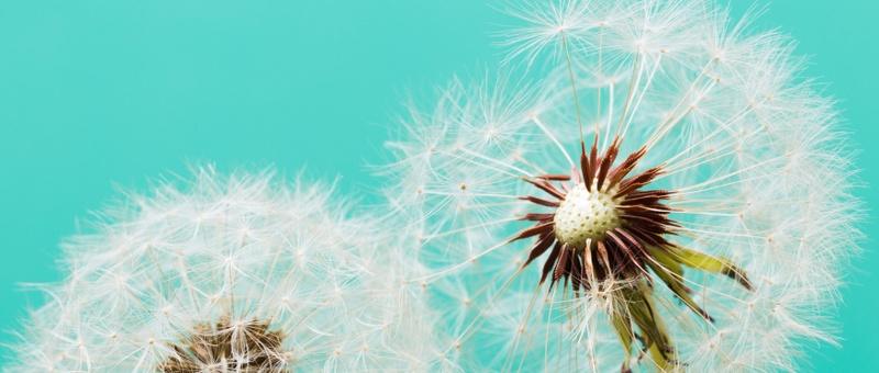 The Link Between Weight Loss and Hair Loss: Causes and Effective Solutions