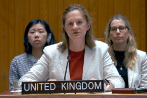 UK Welcomes Syrian Democratic Forces' Integration into Central Government: Statement at UN Security Council