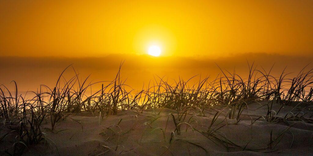 Record Breaking 38.1°C Heatwave Hits, But Rain is Set to Arrive in the South