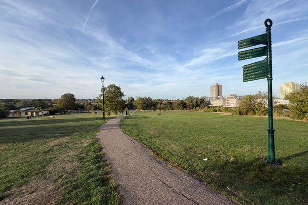 Transforming a North London Park: From Derelict Wasteland to a Stunning £7 Million Nature Oasis