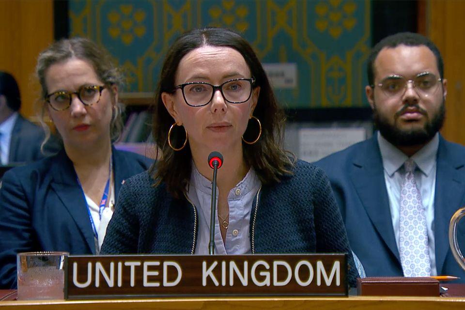 UK's Vote at UN Security Council: Supporting the Gang Suppression Force for Haiti's Security and Stability