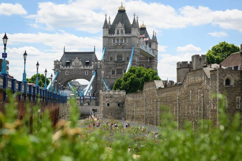 Ministers Endorse City Skyscraper Development Following Tower of London Controversy