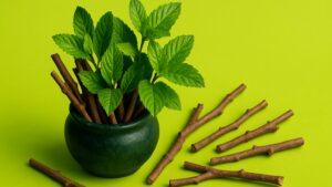Discover Ashwagandha: Health Benefits, Uses, and Potential Side Effects Explained