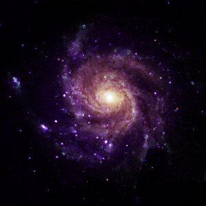 NASA's Chandra Discovers Bizarre Objects in the Pinwheel Galaxy