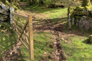 Transforming Burrator Forest: The Impact of Integrated Management on Conservation from Fleece to Fencing