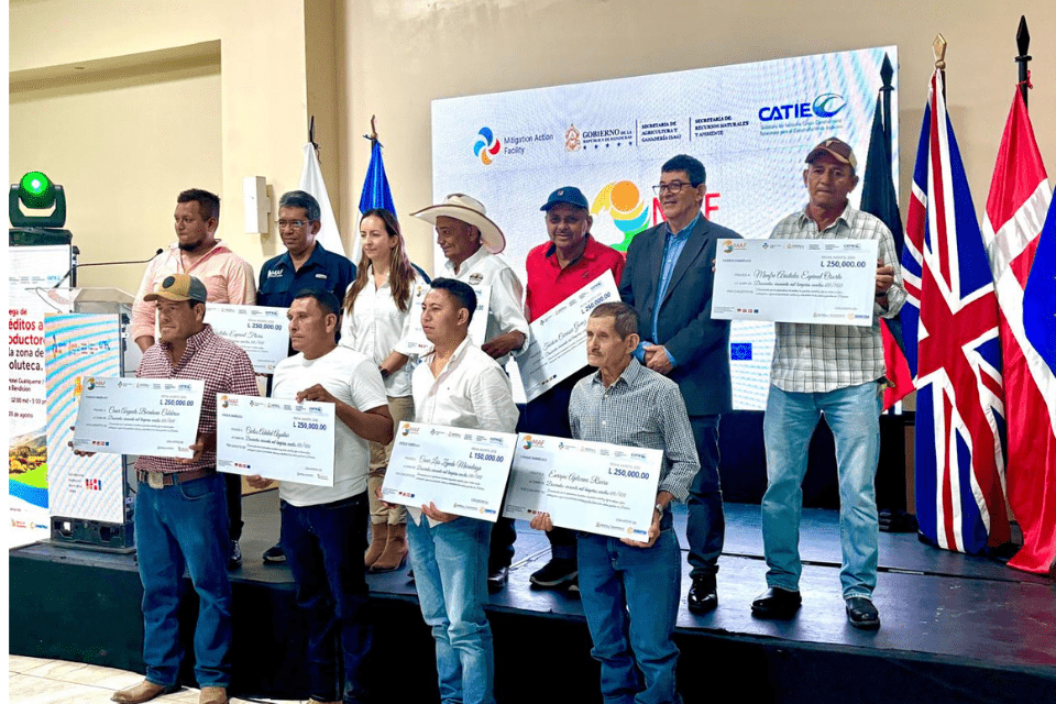 UK Initiative Promotes Sustainable Livestock Farming Practices in Honduras