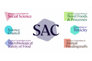 Join the FSA SAC: Exciting Recruitment Opportunities Await!
