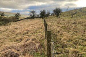 Ingleborough National Nature Reserve Experiments with Innovative Grazing Protection Strategies for Sheep and Deer