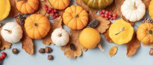 Discover the Science Behind Autumn Nesting: Embrace the Cosy Season Ahead
