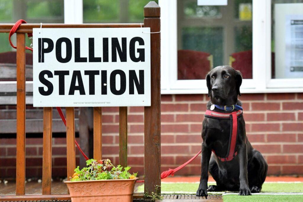 "Exploring the Controversy: Are Black Labradors a Symbol of Far Right Ideology?"