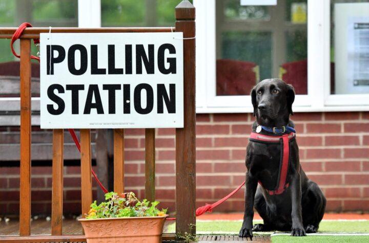 "Exploring the Controversy: Are Black Labradors a Symbol of Far Right Ideology?"