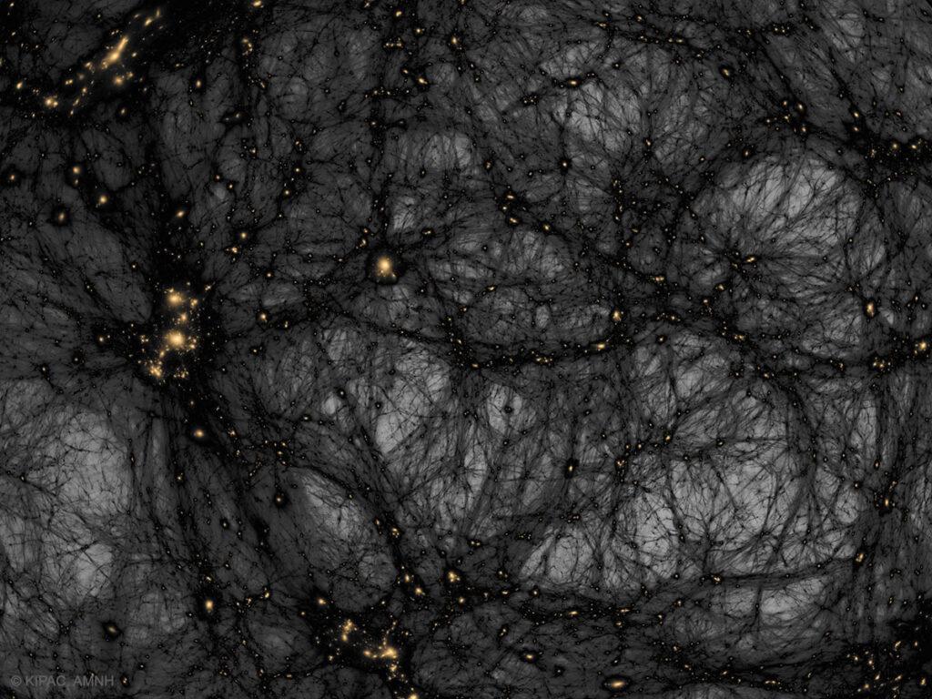 Exploring Dark Matter: Insights from a Simulated Universe 25th October