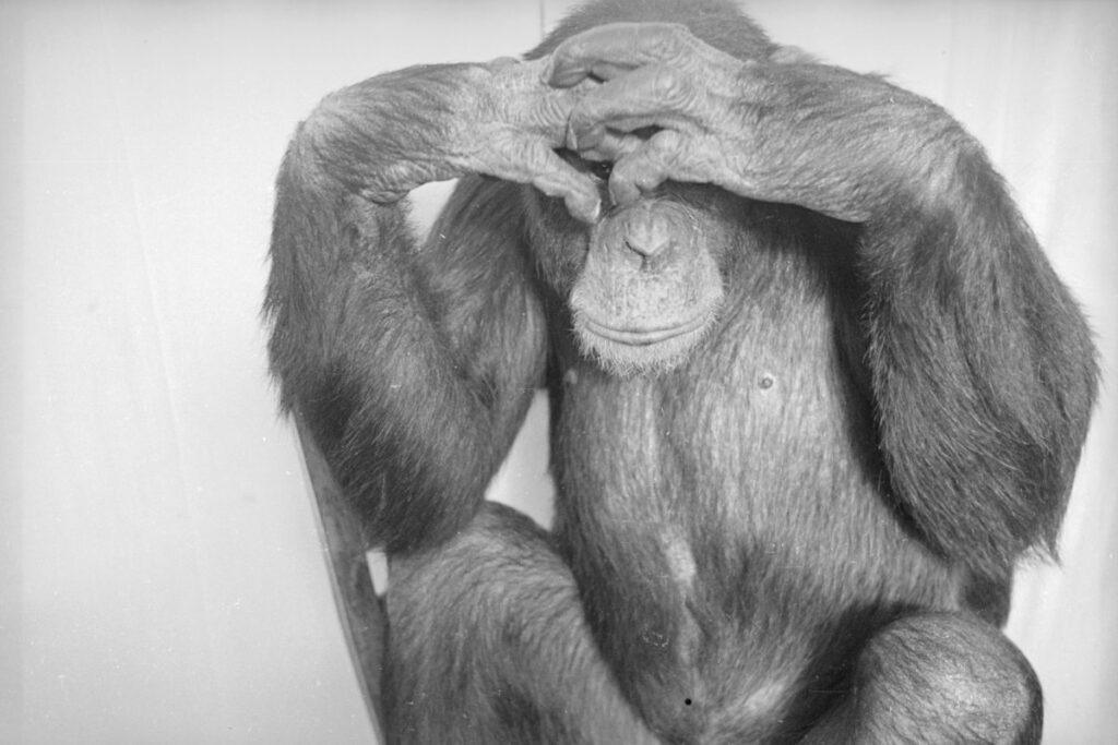 The Key Barrier to Safer AI: Overcoming Embarrassment
