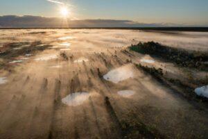 Discover Estonia's Quirky Tradition: The Unusual Sport of Bog Swimming