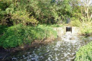 Anglian Water Hit with £1.6 Million Fine for Polluting Essex River