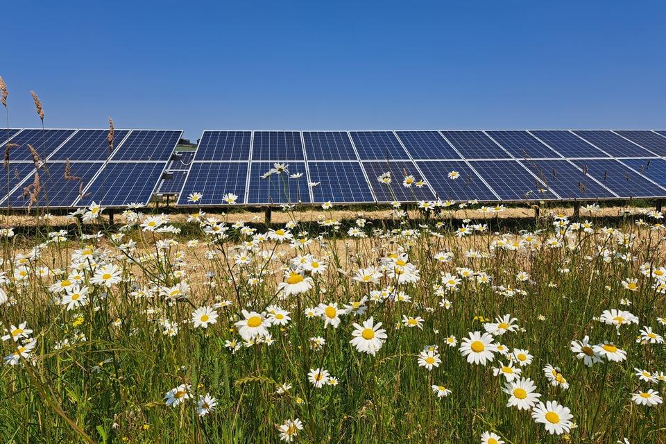 Decision on Steeple Renewables Project Development Consent Revealed