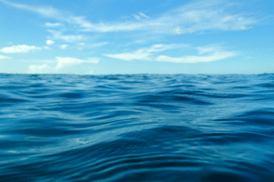 Urgent Action Required: Navigating Upcoming EU Regulatory Changes