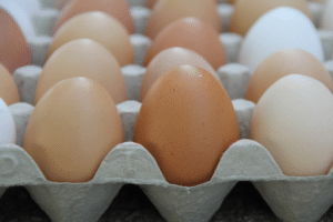 Food Standards Agency Urges Businesses to Recall Eggs from Ukrainian Supplier Amid Salmonella Enteritidis Contamination Concerns