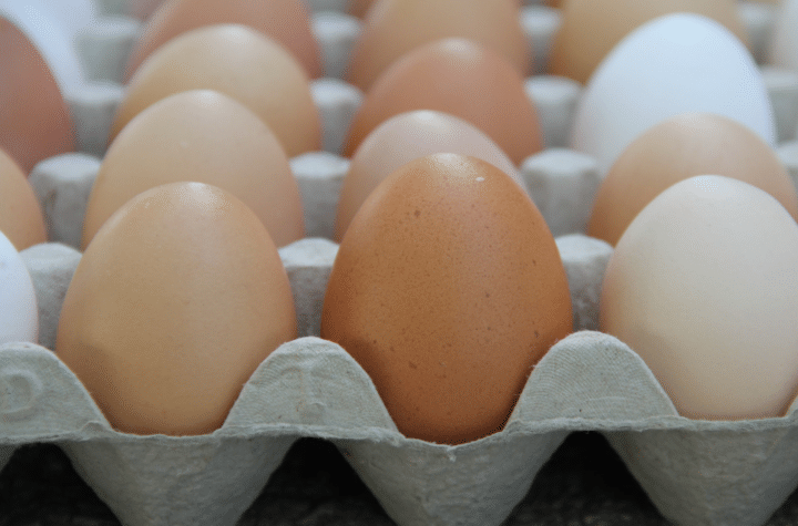 Food Standards Agency Urges Businesses to Recall Eggs from Ukrainian Supplier Amid Salmonella Enteritidis Contamination Concerns